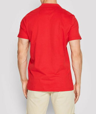 TOMMY JEANS POLO T-SH DM0DM12966 gallery image 2