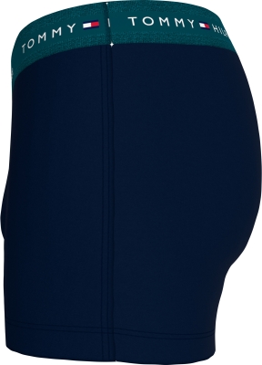 TOMMY HILFIGER БЕЛЬО UM0UM02763 gallery image 8